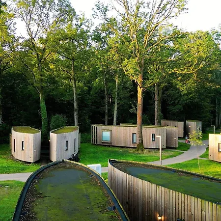 Peaceful Nature Haven