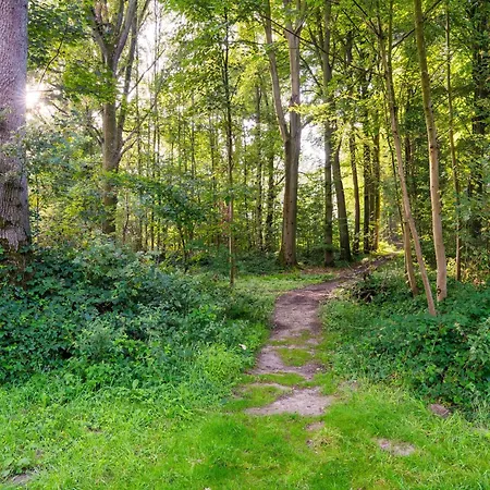 Peaceful Nature Haven Antoing
